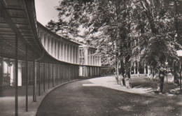 6369 - Bad Mergentheim - Wandelhalle Kurpark - 1955 - Bad Mergentheim