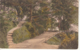 E65. Vintage Postcard. Green Lane, Reigate, Surrey - Surrey