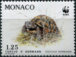 Monaco 1991. Hermann's Tortoise (Testudo Hermanni) (MNH OG) Stamp - Neufs