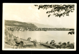 Autriche Austria Osterreich  Vorarlberg Bregenz ( Vu De La Route De Lachau ) - Bregenz