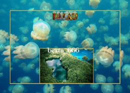 Palau Jellyfish Lake New Postcard - Palau