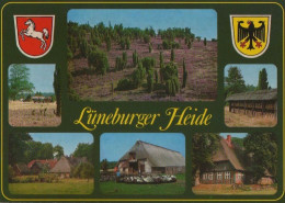34638 - Lüneburger Heide - Mit 6 Bildern - Ca. 1985 - Lüneburger Heide