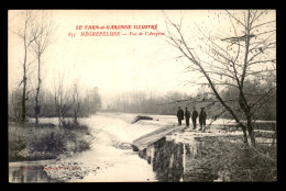 82 - NEGREPELISSE - VUE DE L'AVEYRON - Negrepelisse