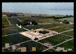 33 - PAUILLAC - DOMAINE CHATEAU LATOUR - Pauillac