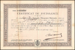 51190 Certificat De Jouissance Girard Caisse De L'economie Nationale Paris 1891 Document - Banca & Assicurazione