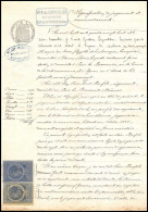 51089 Copies Dimension Y&t N°9 + 11 Syracusaine 1891 Drome Buis-les-Baronnies Timbre Fiscal Fiscaux Sur Document - Storia Postale