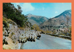 A624 / 327 06 - SAINT MARTIN VESUBIE Transhumance ( Mouton ) - Saint-Martin-Vésubie