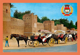 A647 / 067 Maroc MARRAKECH Les Remparts ( Chevaux ) - Sonstige & Ohne Zuordnung