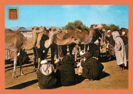 A653 / 553 Maroc Typique Marché Au Chameaux - Sonstige & Ohne Zuordnung