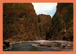 A666 / 037 Maroc TINERHIR Gorges Du Todra - Sonstige & Ohne Zuordnung