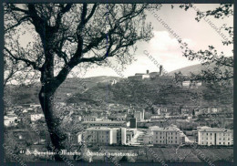 Macerata San Severino Marche Foto FG Cartolina MV7879 - Macerata