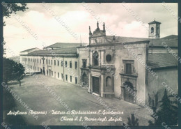 Potenza Avigliano Chiesa S. Maria Degli Angeli Foto FG Cartolina JK1450 - Potenza