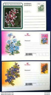 20822  Flowers - Fleurs - South Africa - Mint - 1,85 - Autres & Non Classés