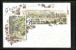 Lithographie Hamburg-Bergedorf, Panorama, Schiessthal Im Gehölz  - Bergedorf