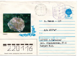 63682 - Russland - 1992 - Sowj 7K GAU "Pfingstrose" M AushZusatzWStpl TAGANROG -> MINSK (Belarus) - Autres & Non Classés