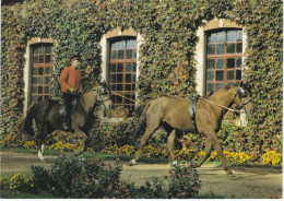 MONTIER-en-DER. Haras National. Chevaux. Etalons Trotteur Et Selle Français Présentés Montés "à La TANDEM" - Montier-en-Der