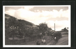 Foto-AK Michelbach / Gerolstein, Feldweg Mit Kühen  - Gerolstein