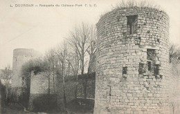 91 DOURDAN REMPARTS DU CHÂTEAU - Dourdan