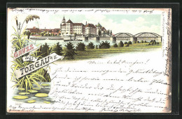 Lithographie Torgau A. E., Panorama Mit Schloss Und Brücke  - Torgau