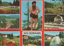 15053 - Bergstadt Wildemann Oberharz - 1977 - Wildemann