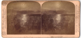 Stereo-Fotografie Geo. Barker, Niagara Falls / N.Y., Moonlight In The Wild Rice, Mondschein Mit Wildem Reis  - Stereoscopic