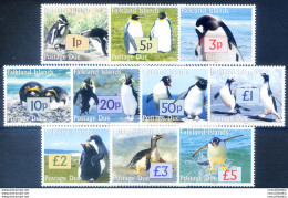Segnatasse. Pinguini 2005. - Falklandeilanden