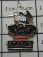 1718B Pin's Pins / Beau Et Rare / ANIMAUX / NID DE CIGOGNES ALSACE - Animaux