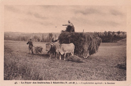 B12-82) REALVILLE  - LE FOYER DES INDIRECTES - L' EXPLOITATION AGRICOLE - LA FENAISON - ( 2 SCANS ) - Realville