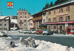 < Automobile Auto Voiture Car >> Citroën 2CV, Ami 6, Porsche 911, Chiens Saint-Bernard, Font Romeu - PKW