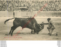 Corrida De Toros . Pasando De Muleta De Rodillas . (arènes , Taureaux , Toréro ... ) . - Stierkampf