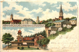 Löbau In Sachsen - Honigbrunnen - Litho - Loebau