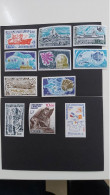 TAAF ** LOT 11 TIMBRES ++++++SUPERBES ++++++ - Nuovi