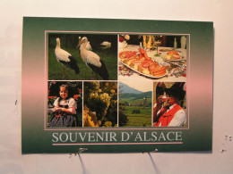 Alsace - Vues Diverses - - Alsace