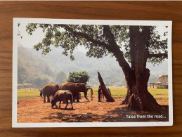 China Postal Card Postcard Tales From The Road Travel Elepant Nature Park Animals Thailand Trees Plant Tree Elephants - Árboles