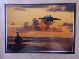 US NAVY   F14 TOMCAT    12,5 X 18 CM - 1946-....: Moderne