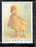 151er Anniversaire De La Société Royale De Protection Des Animaux : Caneton - Unused Stamps