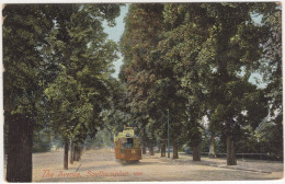 Southampton: TRAM / STREETCAR - The Avenue - 1880 - (England, U.K.) - 1906 - PKW