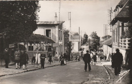 92 - Le Plessis-Robinson  -  Rue De Malabry - Le Plessis Robinson