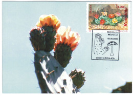 MAX 32 - 162 CACTUSSES, Romania - Maximum Card - 2006 - Cactusses