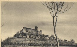 0-46038 01 01 - CASTELNAU-BRETENOUX - CHÂTEAU (FONDATION JEAN MOULIERAT) - Bretenoux