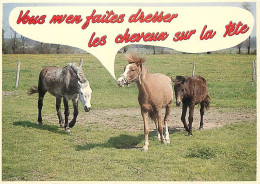 Animaux - Chevaux - Carte Humoristique - Carte Neuve - CPM - Voir Scans Recto-Verso - Chevaux