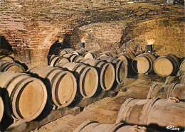 Vignes - Cave Bourguignone - CPM - Voir Scans Recto-Verso - Wijnbouw