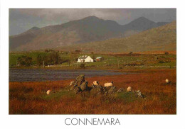 Irlande - Galway - Connemara - Views From The Peaks Of These Mountains Take In Striking Landscopes Of Lake Moorland Ond  - Galway