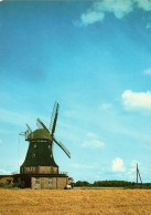 Delcampe - H1130 - Thulendorf Holländermühle Windmühle - Bild Und Heimat Reichenbach - Windmühlen