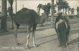 LIBIA / LIBYA - TRIPOLI - MEHARISTA - NATIVE SOLDIER WITH DROMEDARY - EDIT PUCCI - RPPC POSTCARD 1920s (12442) - Libia