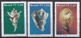 BRAZIL 1977 MNH** - Coquillages