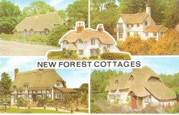 SCENES FROM THE NEW FOREST, HAMPSHIRE. Circa 1980 USED POSTCARD M4 - Autres & Non Classés