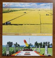 Space Mutation Breeding,corn,tractor,CN 10 Heilongjiang Top 100 The Most Worthwhile Attractions Ning'an Farm PSC - Agricoltura