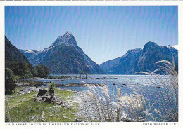 AK 212793 NEW ZEALAND -Am Milford Sound Im Fjordland National Park - Neuseeland