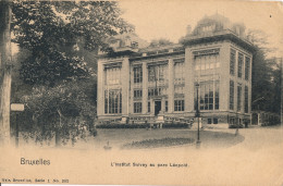 BRUXELLES  L'INSTITUT SOLVAY AU PARC LEOPOLD              VOIR IMAGES - Monumenti, Edifici